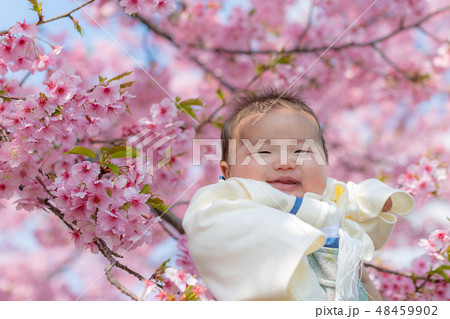 桜をバックに生後100日の百日祝い 桜をバックに生後100日の百日祝い 48459902