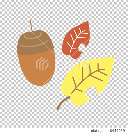 Fall fall leaves illustration Fall fall leaves illustration 48459939