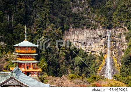 那智の滝と青岸渡寺(熊野那智大社)三重塔 48460201