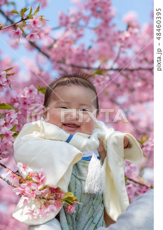 桜をバックに生後100日の百日祝い 桜をバックに生後100日の百日祝い 48460395