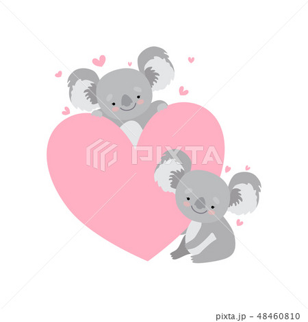 Two Cute Baby Koala Bears with Big Pink Heart, Funny Grey Animal Character Vector Illustration 48460810