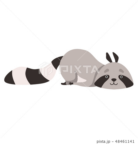 Cute Raccoon Lying on the Floor, Funny Humanized Grey Coon Animal Character Vector Illustration 48461141