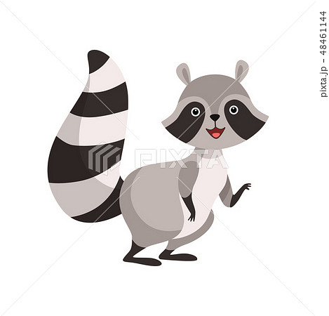 Cute Gray Raccoon, Funny Humanized Coon Animal Character Vector Illustration Cute Gray Raccoon, Funny Humanized Coon Animal Character Vector Illustration 48461144