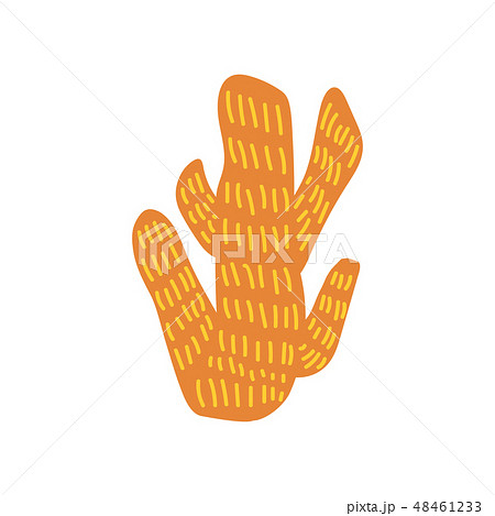 Seaweed, Marine, Ocean Natural Underwater Plant Vector Illustration 48461233