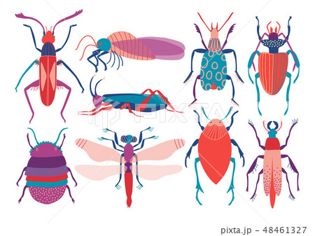 Colorful Insects Set, Cute Butterfly, Beetle, Bug, Dragonfly, Top View Vector Illustration 48461327