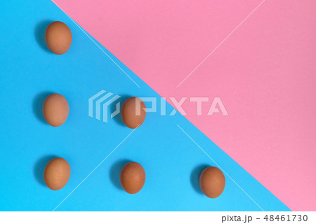 Chicken eggs on blue and pink pastel background 48461730