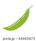 えんどう 48463873