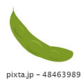枝豆 48463989