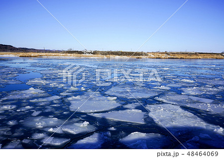 休漁中の大津漁港 48464069