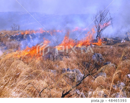 ウバーレに燃え広がる秋吉台の山焼きの写真素材