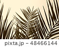 Silhouette palm leaves in monochrome style so cool 48466144