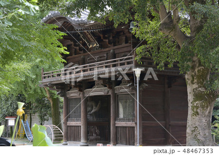檀王法林寺　楼門　京都 48467353