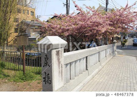 春の京都・一条戻橋にて 48467378