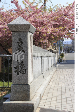 春の京都・一条戻橋にて 春の京都・一条戻橋にて 48467379