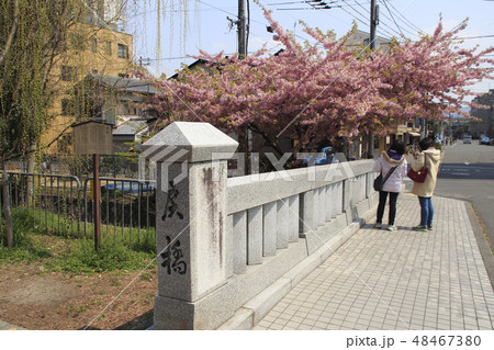 春の京都・一条戻橋にて 48467380