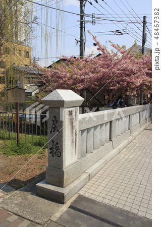 春の京都・一条戻橋にて 春の京都・一条戻橋にて 48467382