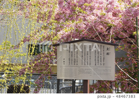 春の京都・一条戻橋にて 春の京都・一条戻橋にて 48467383