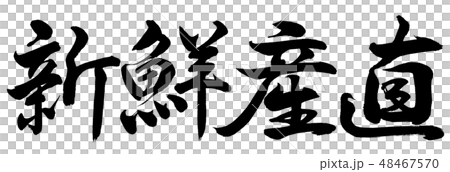 書法：新鮮製作直水平書寫字母 48467570