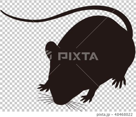 Mus musculus silhouette - Stock Illustration [48468022] - PIXTA
