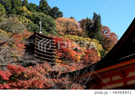 談山神社の紅葉 談山神社の紅葉 48468841
