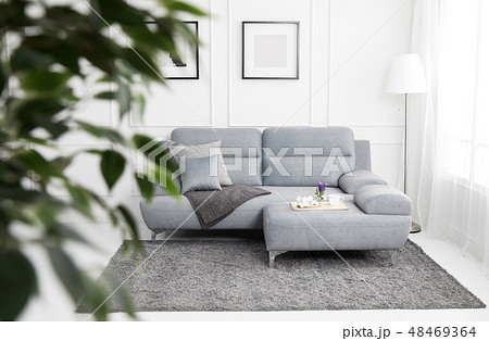 ソファ ソファー 家具 48469364