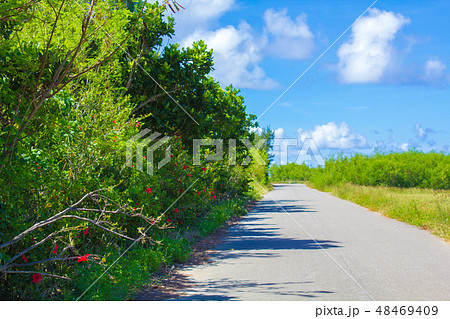 波照間島の道 48469409