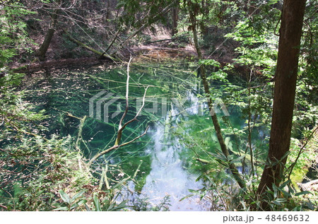 小夜の池 雪がとけて芽吹きの十二湖 小夜の池 雪がとけて芽吹きの十二湖 48469632