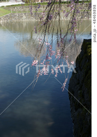 鳥取　四季の散歩　春　鹿野 48469898