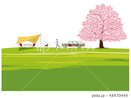 桜 キャンピングカー タープ 犬 高原 おしゃれ 春のイラスト素材