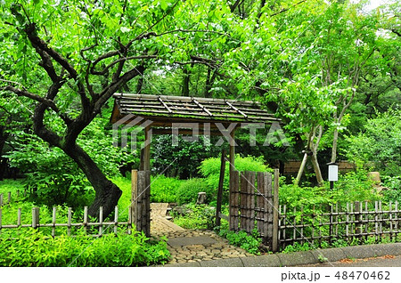 神奈川県立相模原公園内の見本庭園入口 48470462
