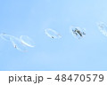 空バックの水玉 48470579