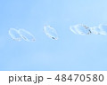 空バックの水玉 48470580