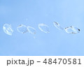 空バックの水玉 48470581