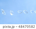 空バックの水玉 48470582