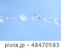 空バックの水玉 48470583