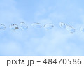 空バックの水玉 48470586