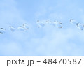 空バックの水玉 48470587