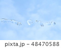 空バックの水玉 48470588