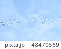 空バックの水玉 48470589