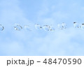 空バックの水玉 48470590