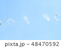 空バックの水玉 48470592