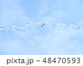 空バックの水玉 48470593
