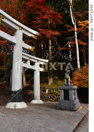 三峯神社の紅葉 三峯神社の紅葉 48471040