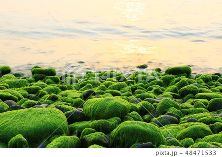 海 日の出 島 48471533