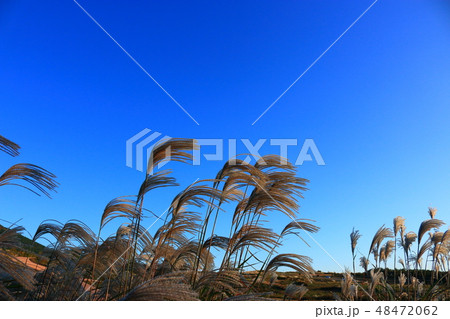 風景 観光 風 48472062