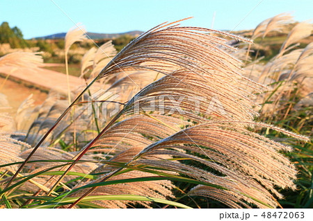 風景 観光 風 48472063