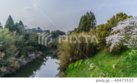 春の大多喜城の風景 春の大多喜城の風景 48473537
