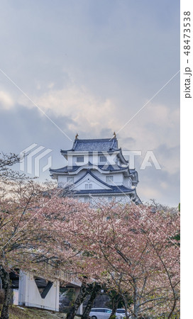 春の大多喜城の風景 春の大多喜城の風景 48473538