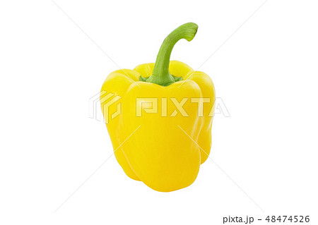 パプリカ (深度合成) パプリカ (深度合成) 48474526