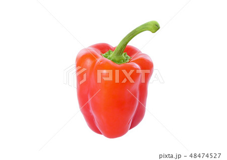 パプリカ (深度合成) 48474527